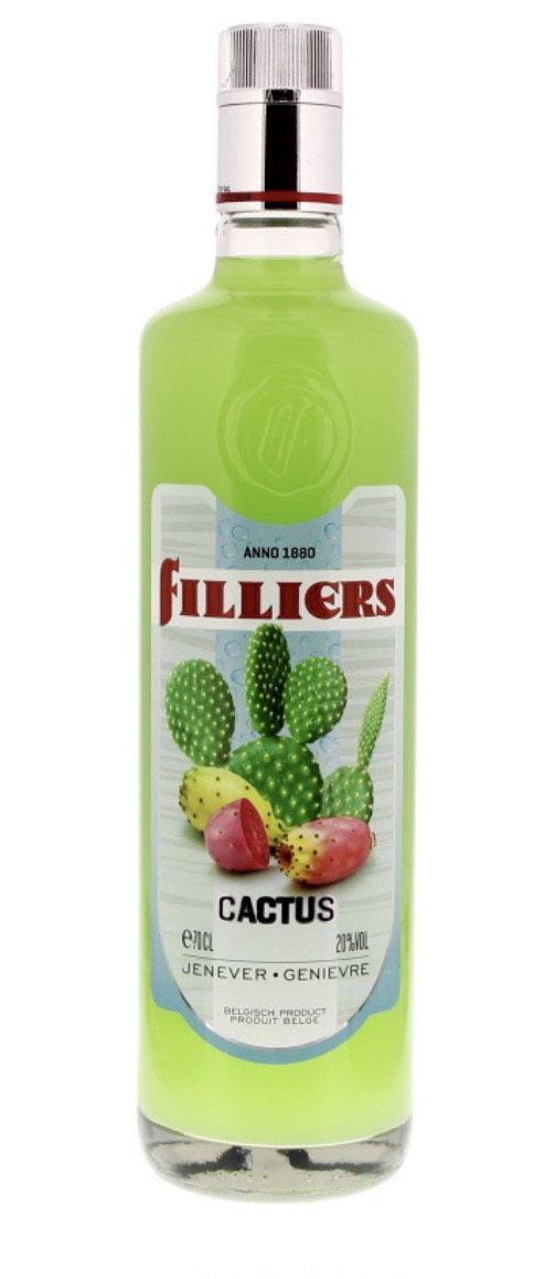Genièvre Filliers 20° Cactus