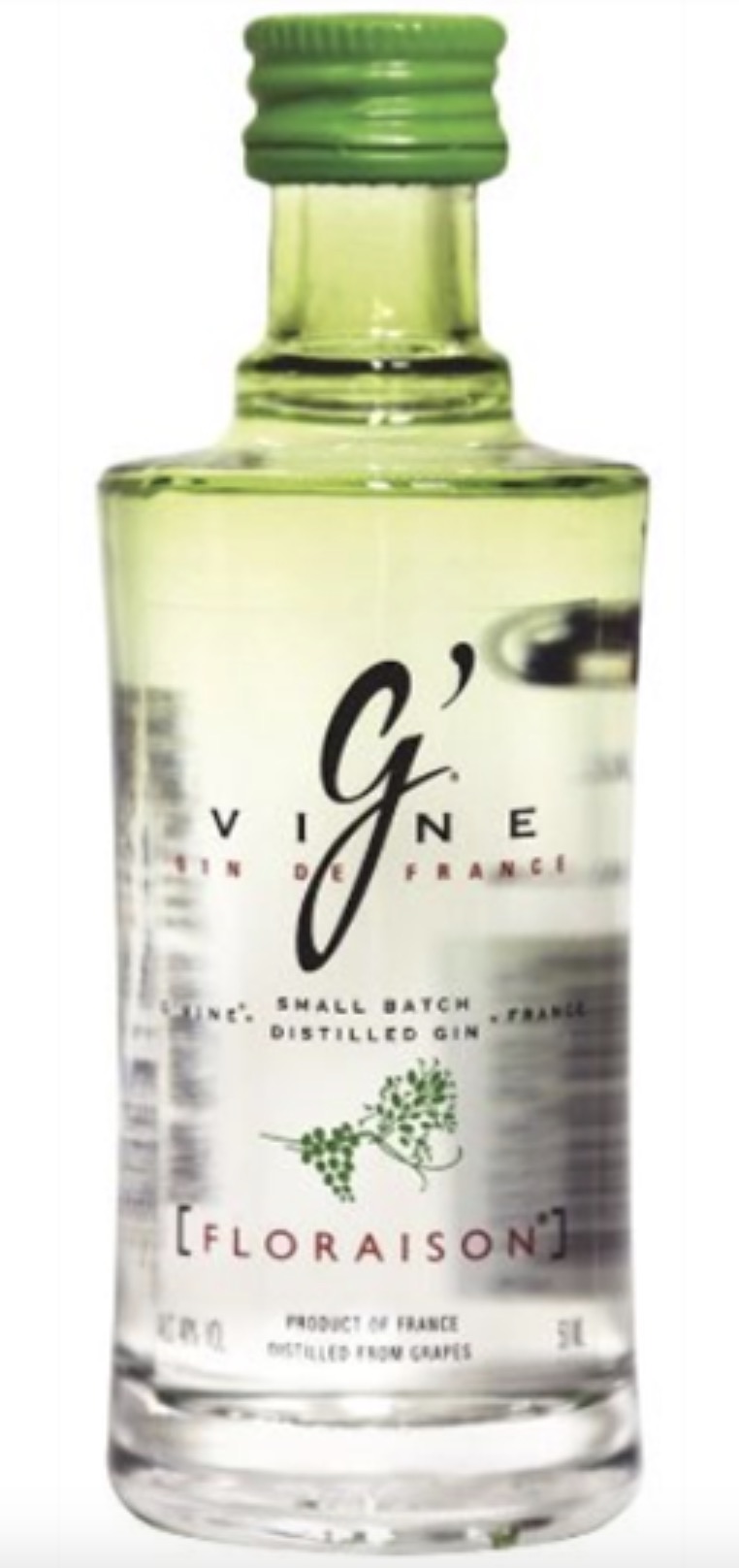 Gin G Vine Floraison