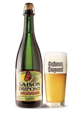 Saison Dupont BIO 12 x 75cl